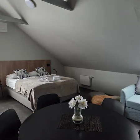 Boutique&wellness Vital Appart hôtel Moravske Toplice